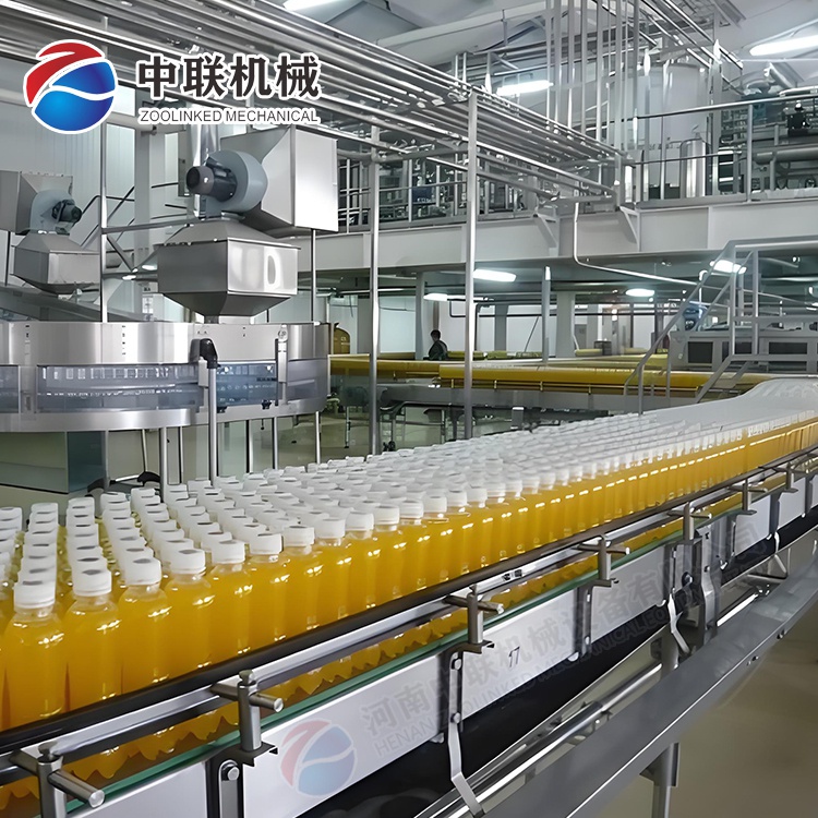整套菇娘果飲料生產(chǎn)線(xiàn)設(shè)備